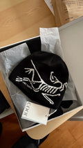 Arc'teryx Bird Head Toque in the Orca